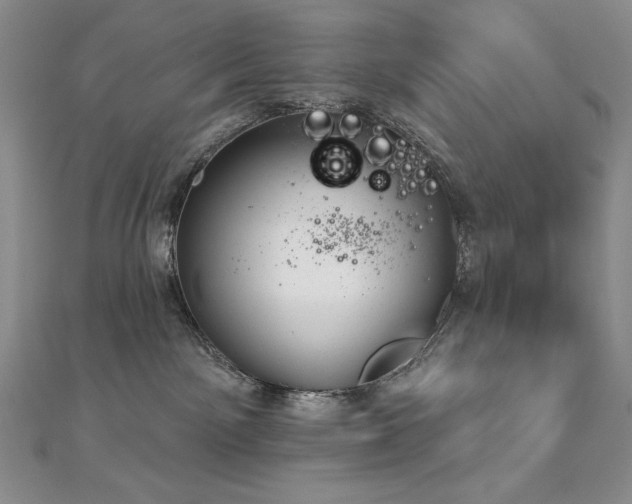 X0000113180141200909041351
