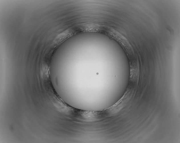 X0000113180142200909041351
