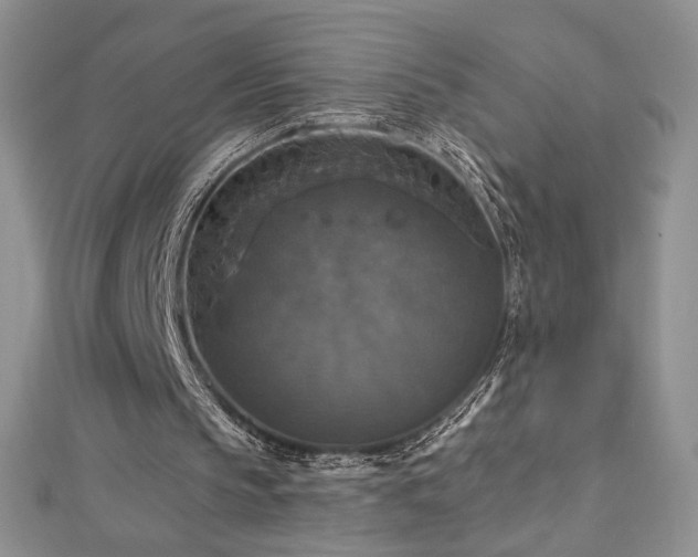 X0000113180145200909041350