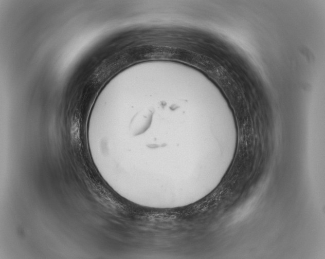 X0000113180146200909041350