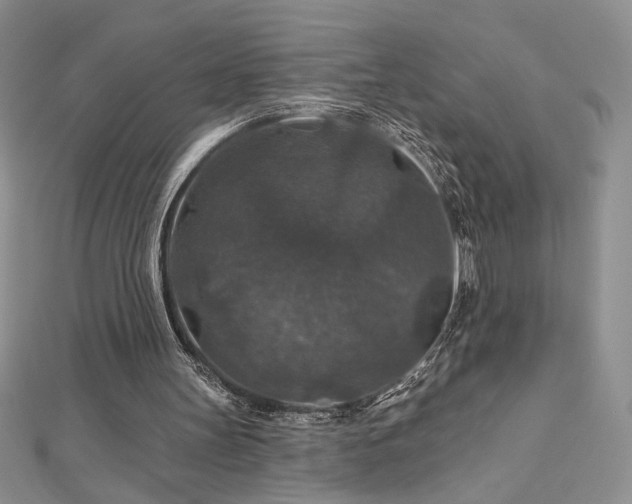 X0000113180147200909041350