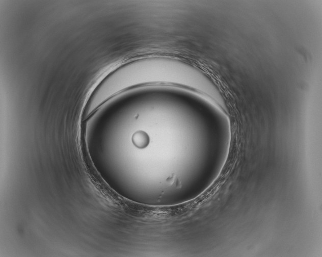 X0000113180148200909041350