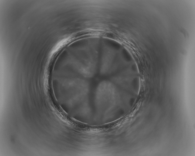 X0000113180149200909041350