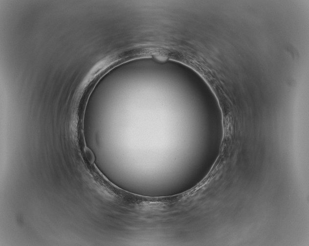 X0000113180150200909041350