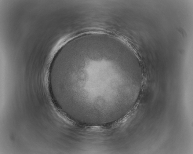 X0000113180151200909041350