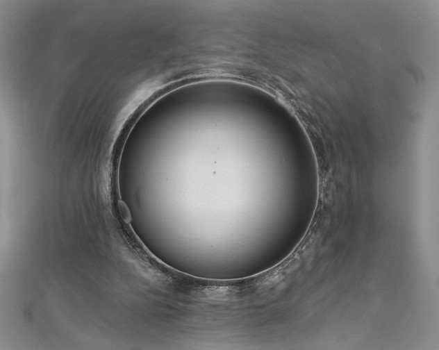 X0000113180152200909041350