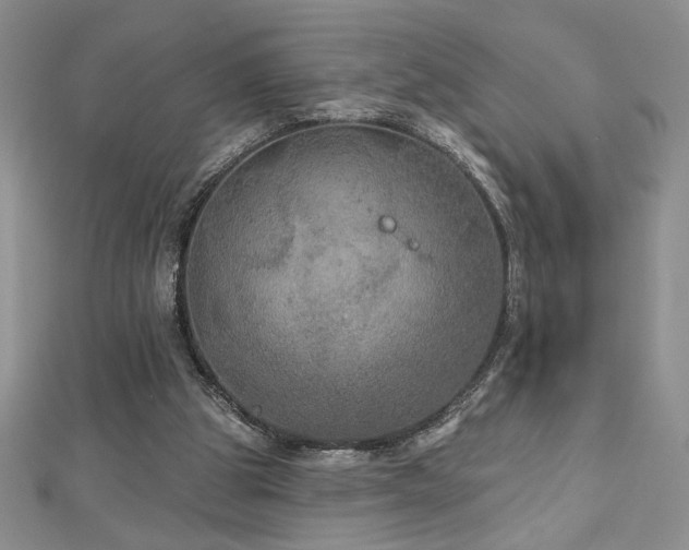 X0000113180153200909041350