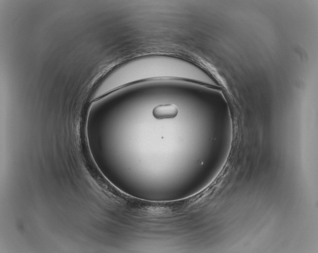 X0000113180154200909041350