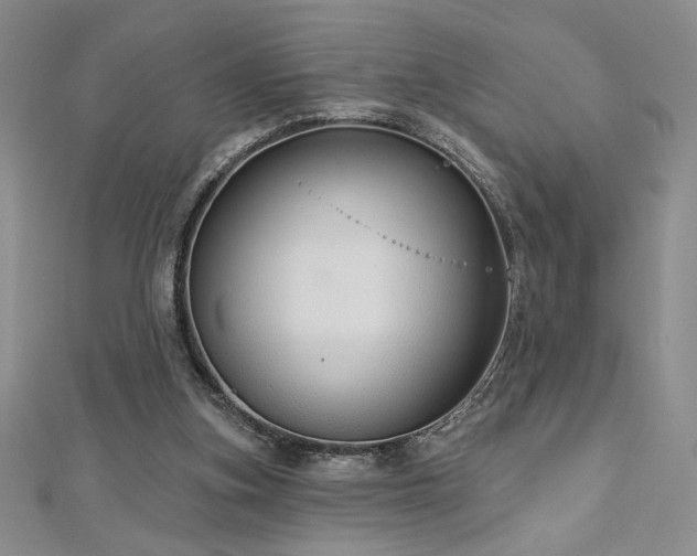 X0000113180155200909041350