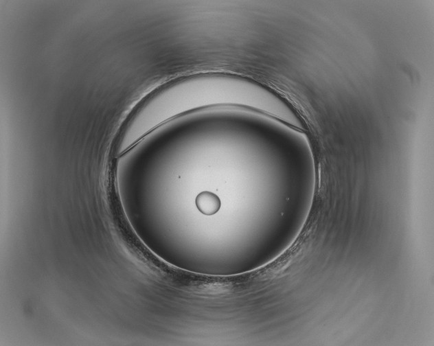 X0000113180156200909041350