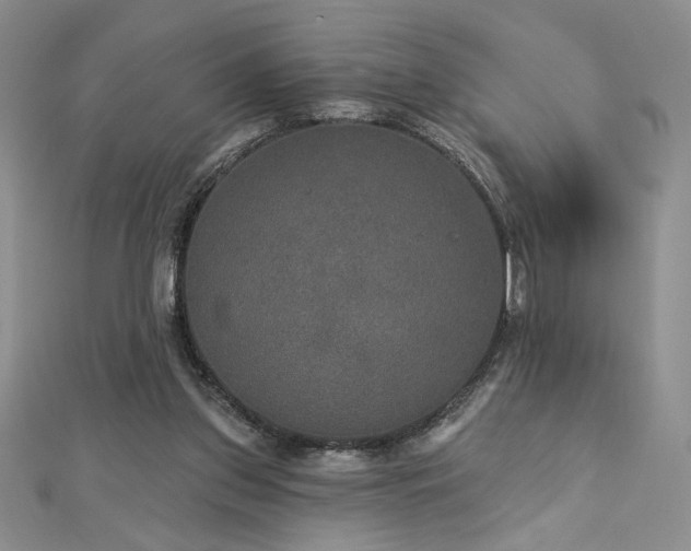 X0000113180157200909041350