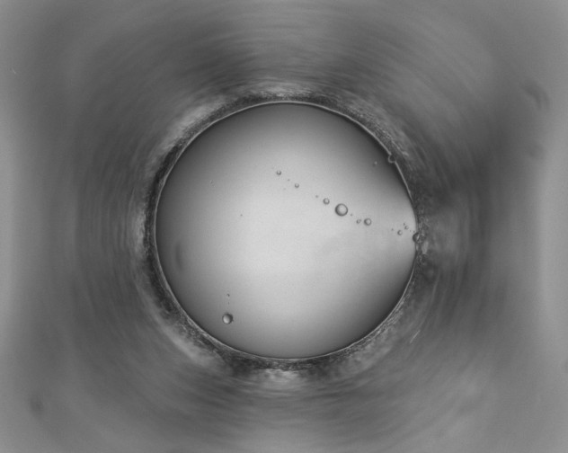X0000113180159200909041350