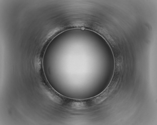 X0000113180160200909041350