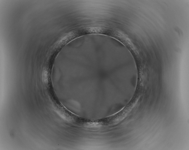 X0000113180161200909041350