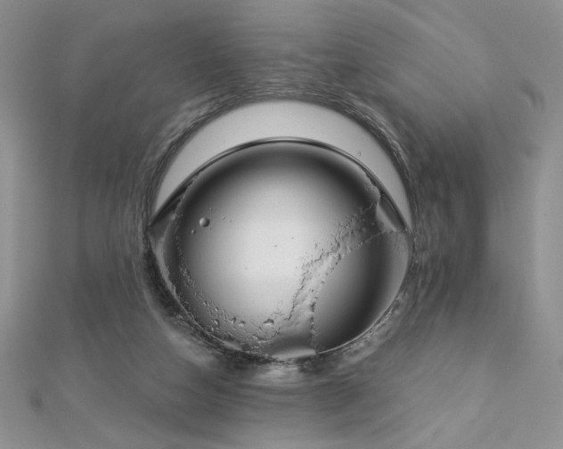 X0000113180162200909041350