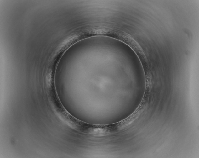 X0000113180163200909041351