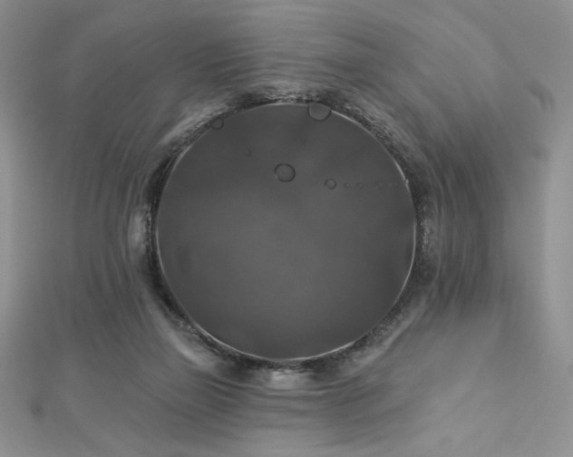 X0000113180165200909041351