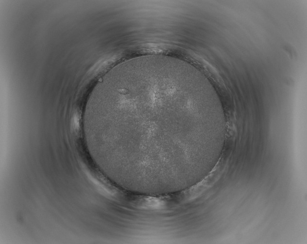 X0000113180166200909041351