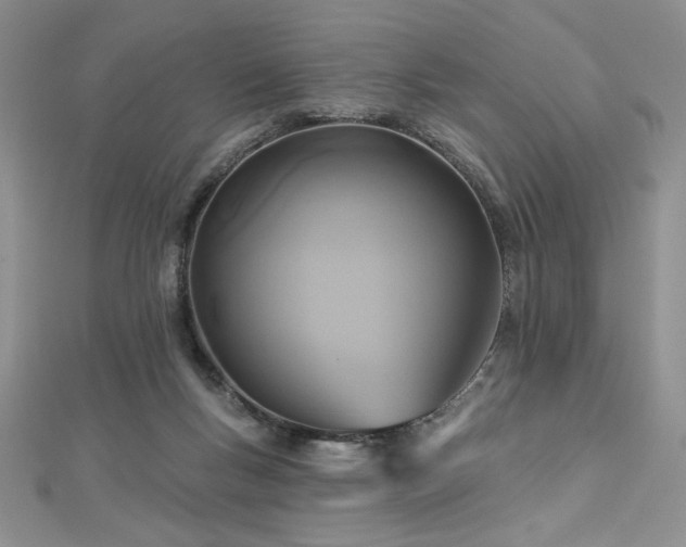 X0000113180167200909041351