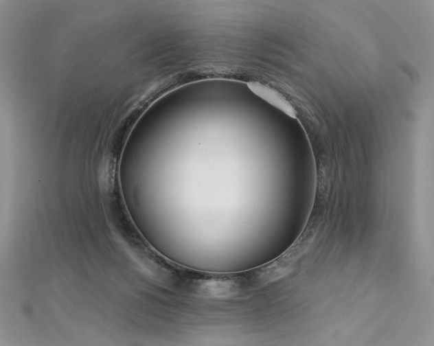 X0000113180168200909041351