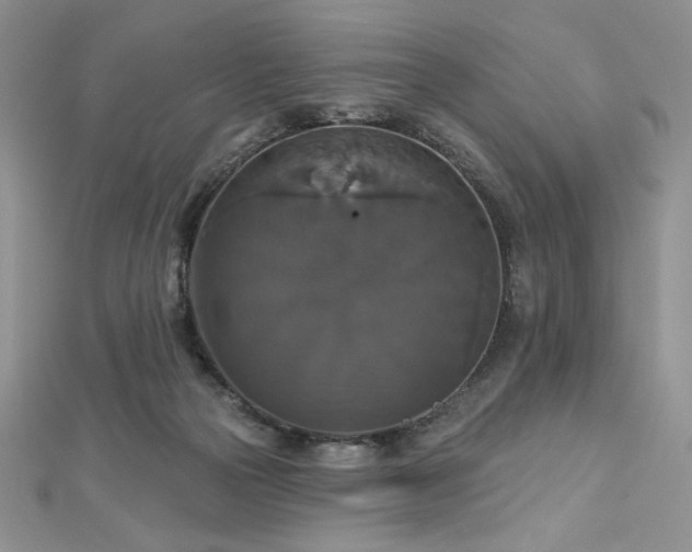 X0000113180169200909041351