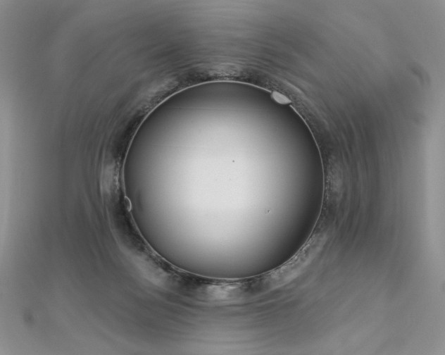 X0000113180172200909041351