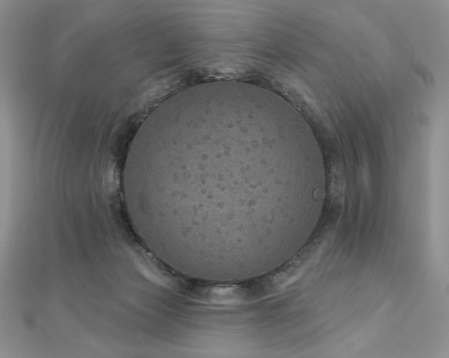 X0000113180173200909041351