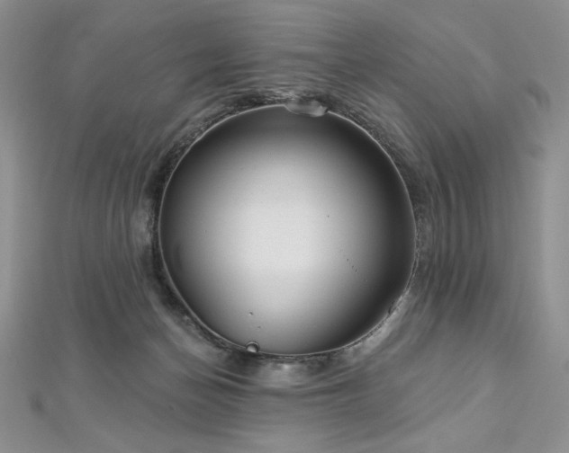 X0000113180174200909041351