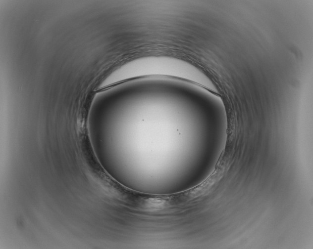 X0000113180176200909041351