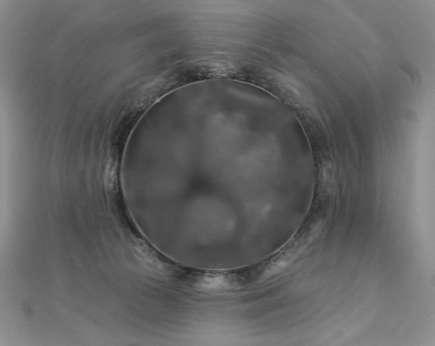 X0000113180177200909041351