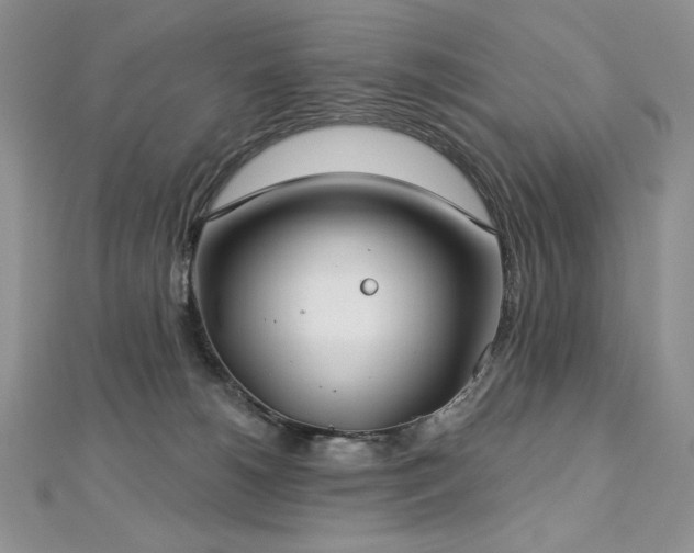 X0000113180180200909041351