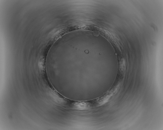 X0000113180181200909041351