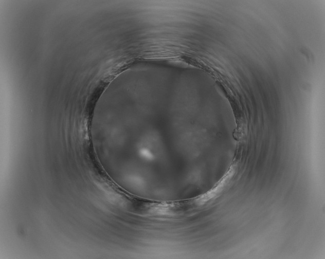 X0000113180182200909041351