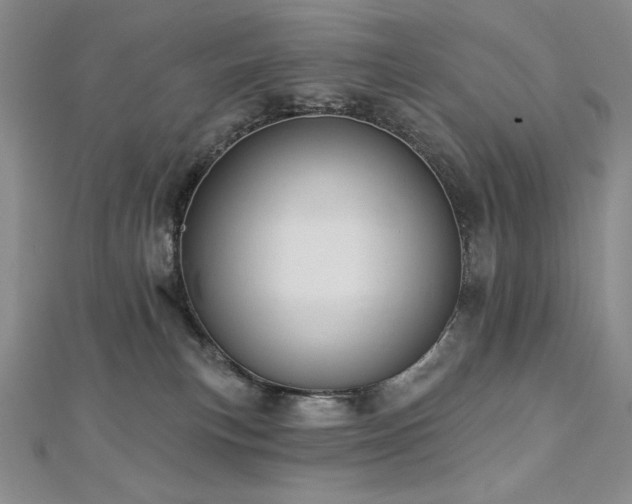 X0000113180183200909041351