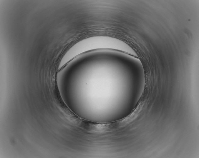 X0000113180184200909041351