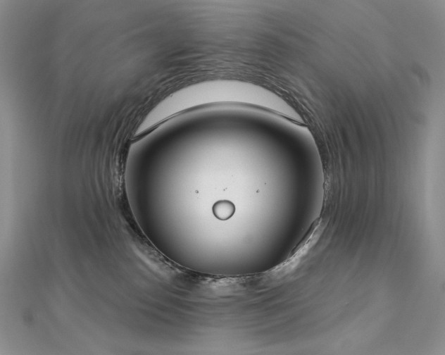 X0000113180186200909041351