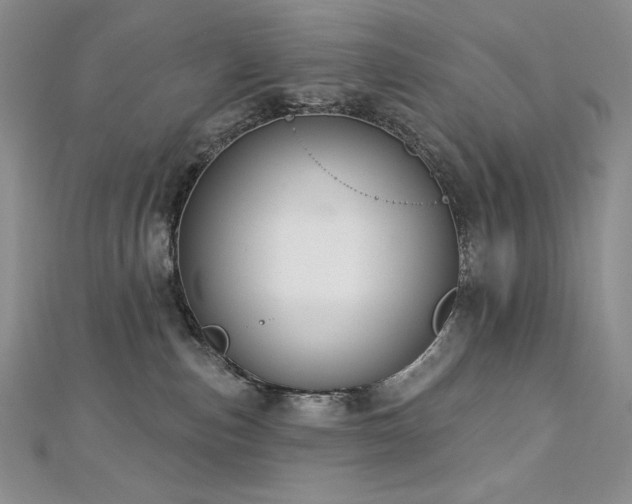 X0000113180187200909041351