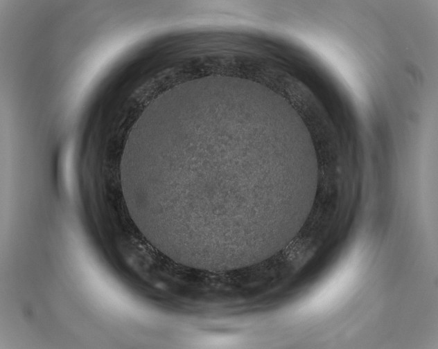X0000113180189200909041351