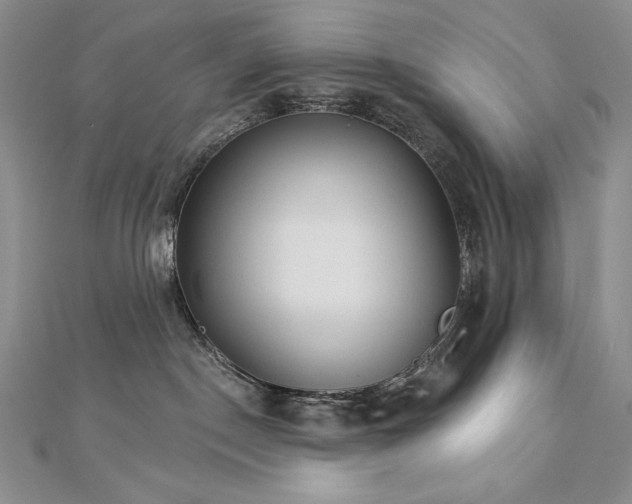 X0000113180190200909041351