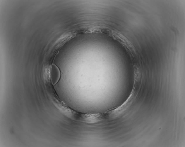 X0000113180191200909041351
