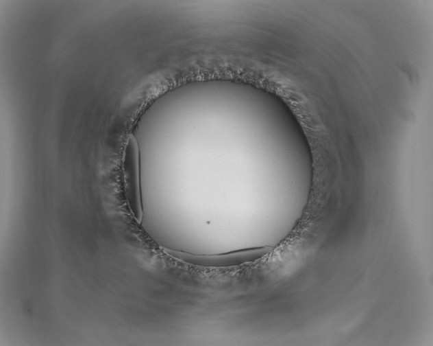 X0000113180192200909041351