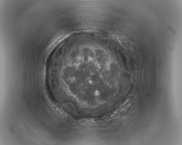X0000113180194200909041350
