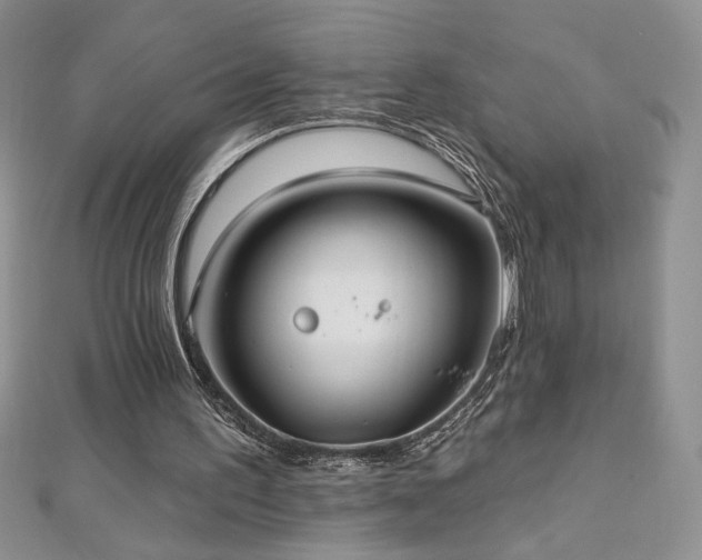 X0000113180195200909041350
