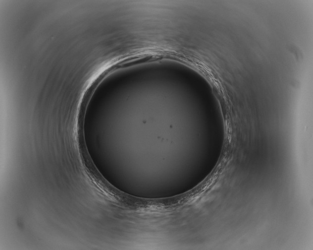 X0000113180196200909041350
