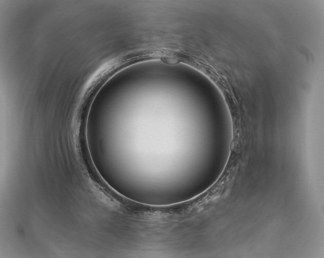 X0000113180197200909041350