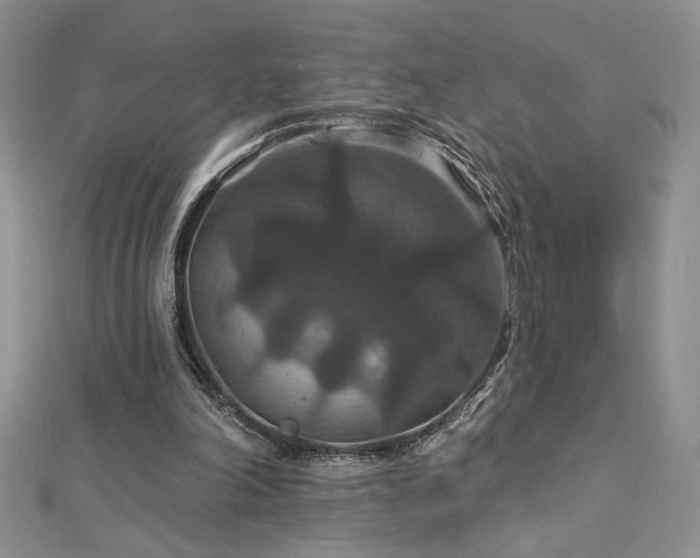 X0000113180198200909041350