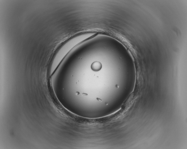 X0000113180201200909041350