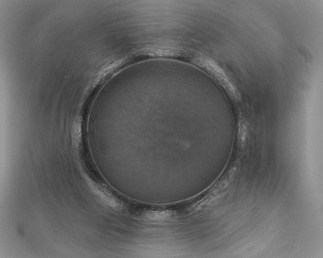 X0000113180202200909041350