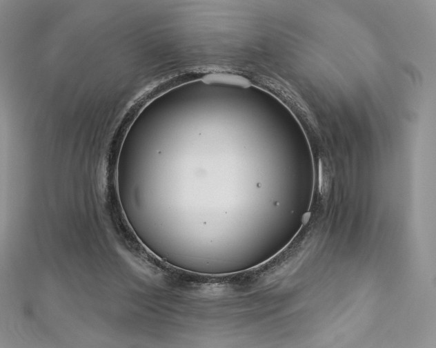 X0000113180204200909041350