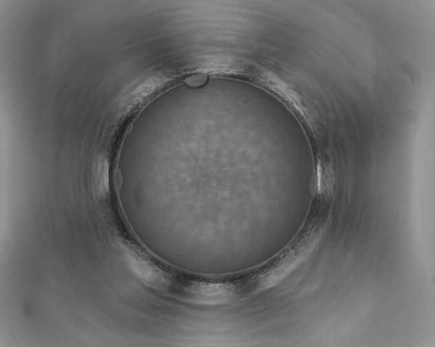 X0000113180205200909041350